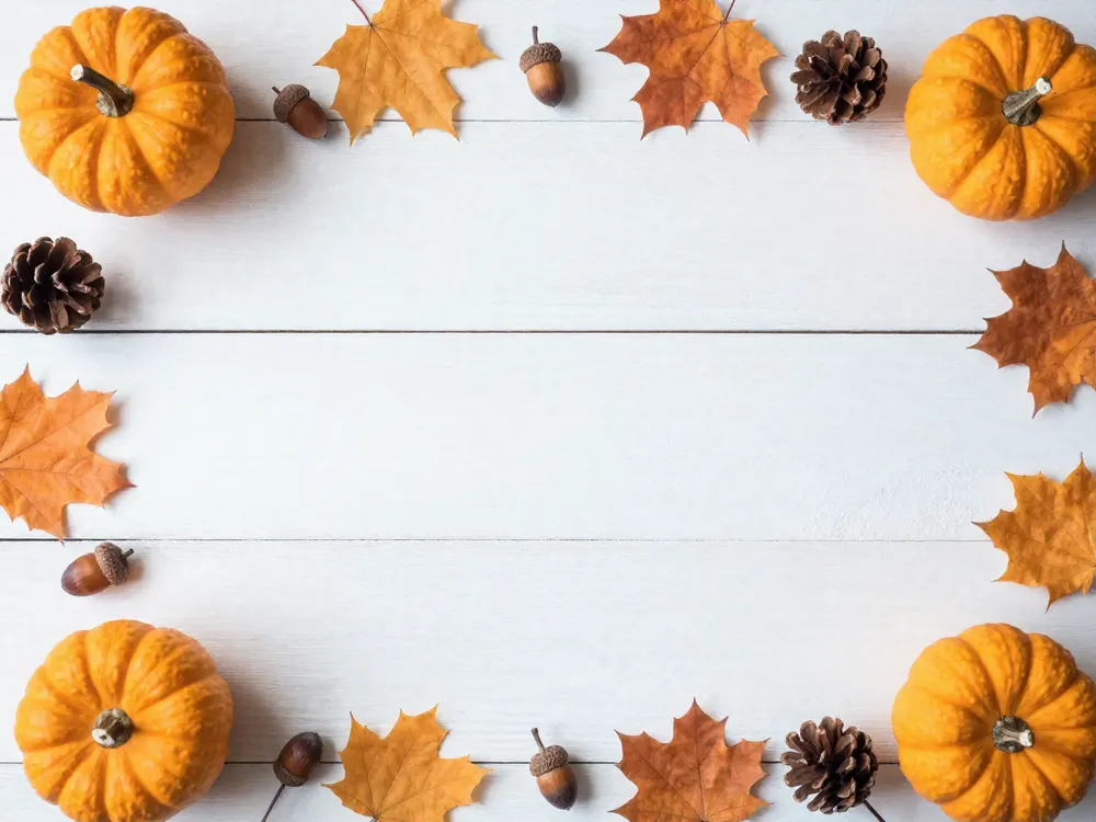 White wooden photo backdrop framed with orange maple leaves, small pumpkins, acorns and pine cones